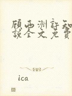 顾西洲许知意小说全文免费阅读