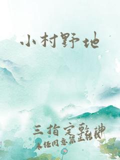 小村野地
