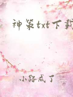 神策txt下载