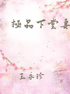 极品下堂妻