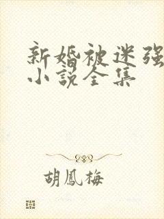 新婚被迷强系列小说全集