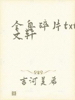 全息碎片txt文轩