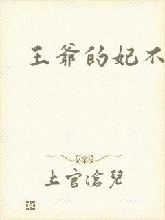 王爷的妃不是妃