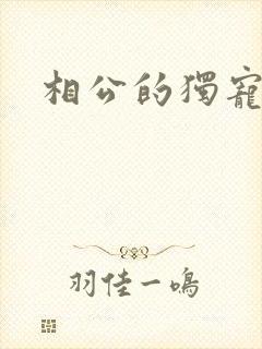 相公的独宠妻子