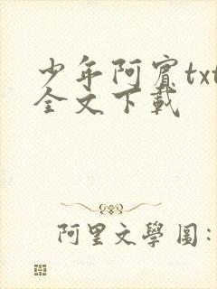 少年阿宾txt全文下载