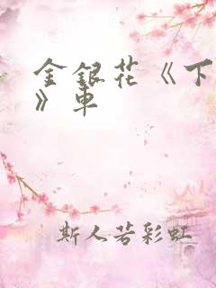 金银花《下厨房》车