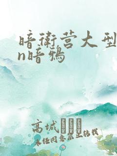 暗卫营大型hpn暗鸦