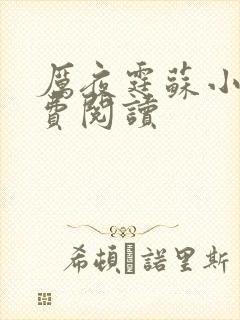 厉夜霆苏小汐免费阅读