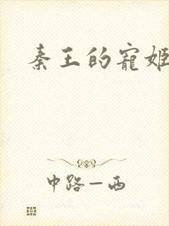秦王的宠姬