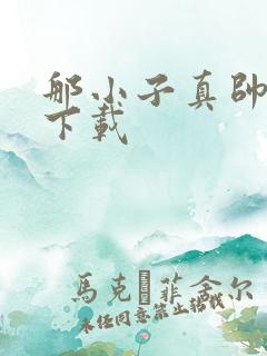 那小子真帅小说下载