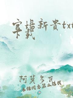 官场新贵txt下载