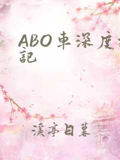 ABO车深度标记