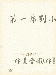 第一序列小说