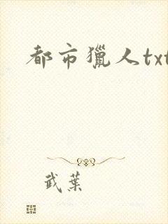 都市猎人txt