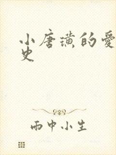 小唐璜的爱情历史