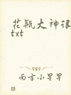 花瓶大神很菜鸟txt
