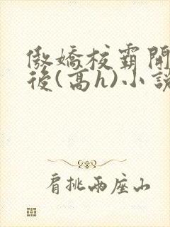 傲娇校霸开荤以后(高h)小说