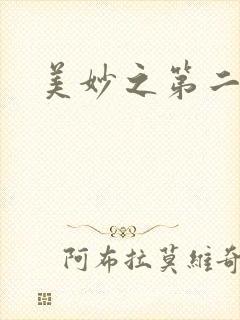 美妙之第二人生