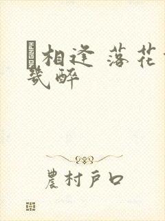 囍相逢 落花能几醉