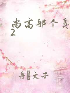 尚高那个臭小子2