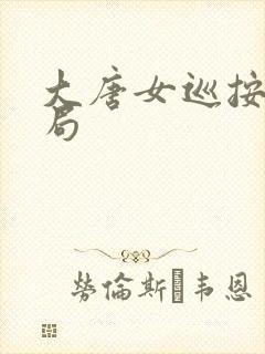 大唐女巡按大结局