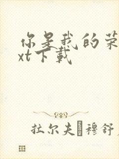 你是我的荣耀txt下载