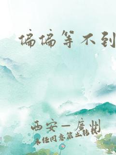 偏偏等不到小说