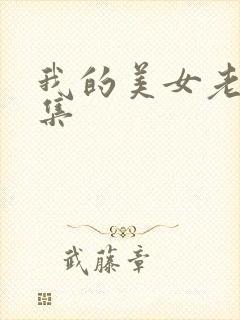 我的美女老总续集