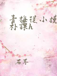 青梅从小摸到大补课h