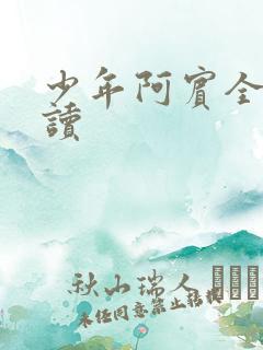 少年阿宾全集阅读