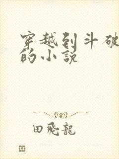 穿越到斗破苍穹的小说