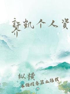 许凯个人资料简介