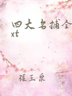 四大名捕全集txt