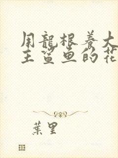 用龙根养大的公主鲨鱼的花