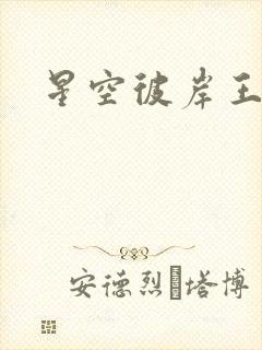 星空彼岸王轩