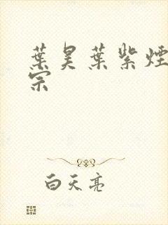 叶昊叶紫烟老祖宗