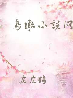鸟瞰小说网