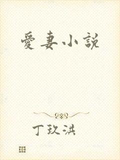 爱妻小说