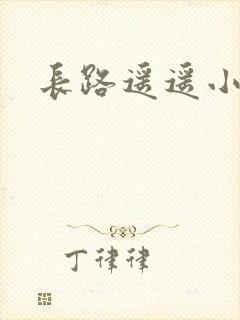 长路遥遥小说