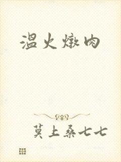 温火炖肉