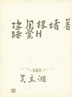 攻用根堵着小受睡觉H