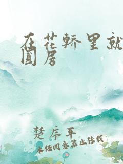 在花轿里就开始圆房