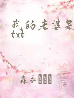 我的老婆是警察txt