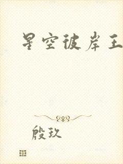 星空彼岸王轩