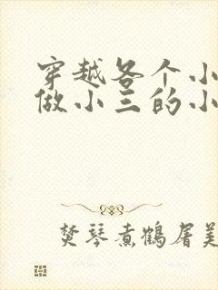 穿越各个小世界做小三的小说