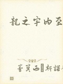 龙之宇内至尊