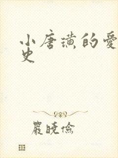 小唐璜的爱情历史