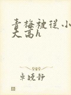 青梅被从小玩到大高h