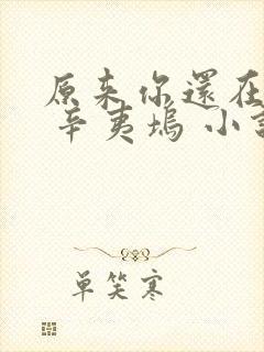 原来你还在这里 辛夷坞 小说