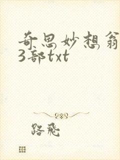 奇思妙想翁乱13部txt